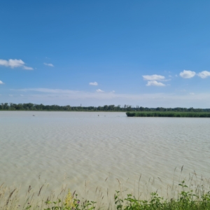 Meditation zum Loslassen